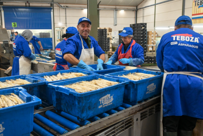 Asperge bakken